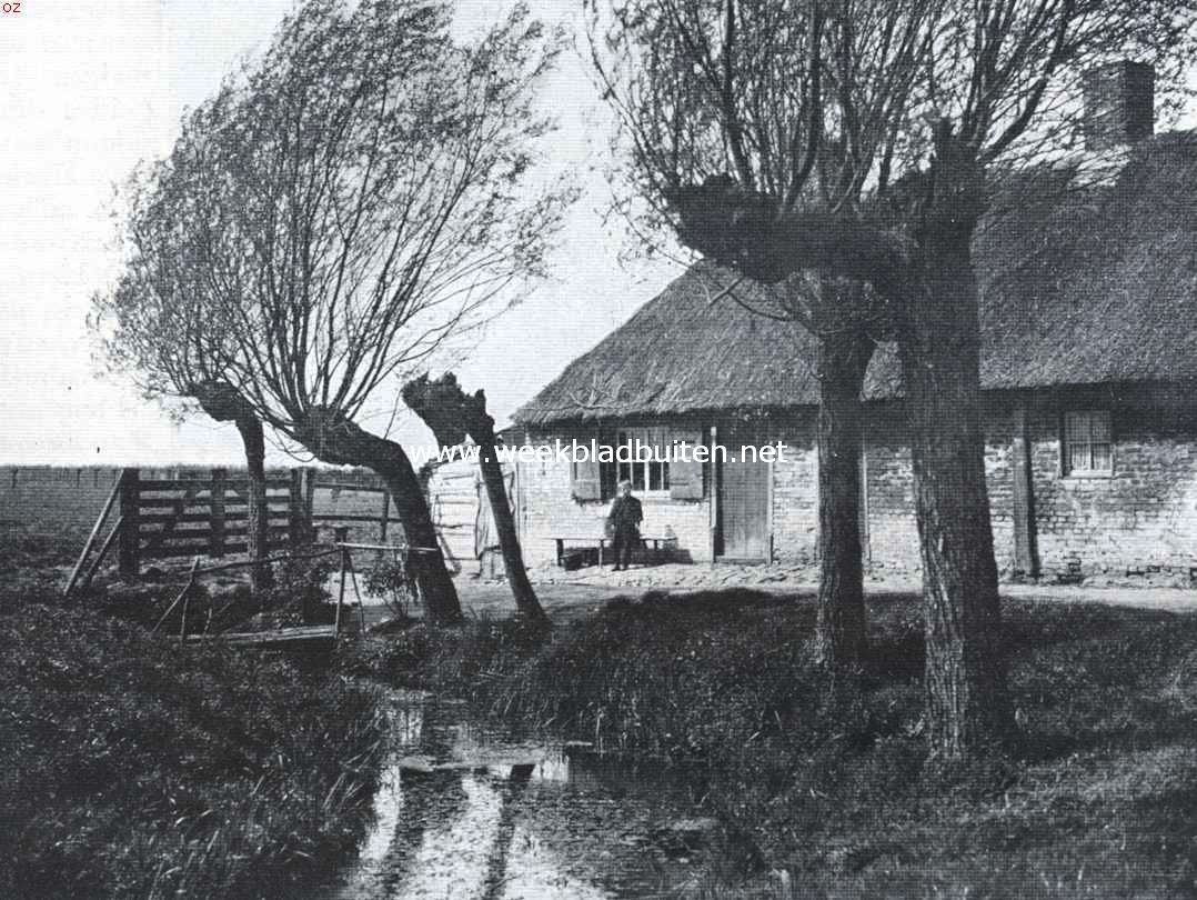 Voorjaarszon en voorjaarswind