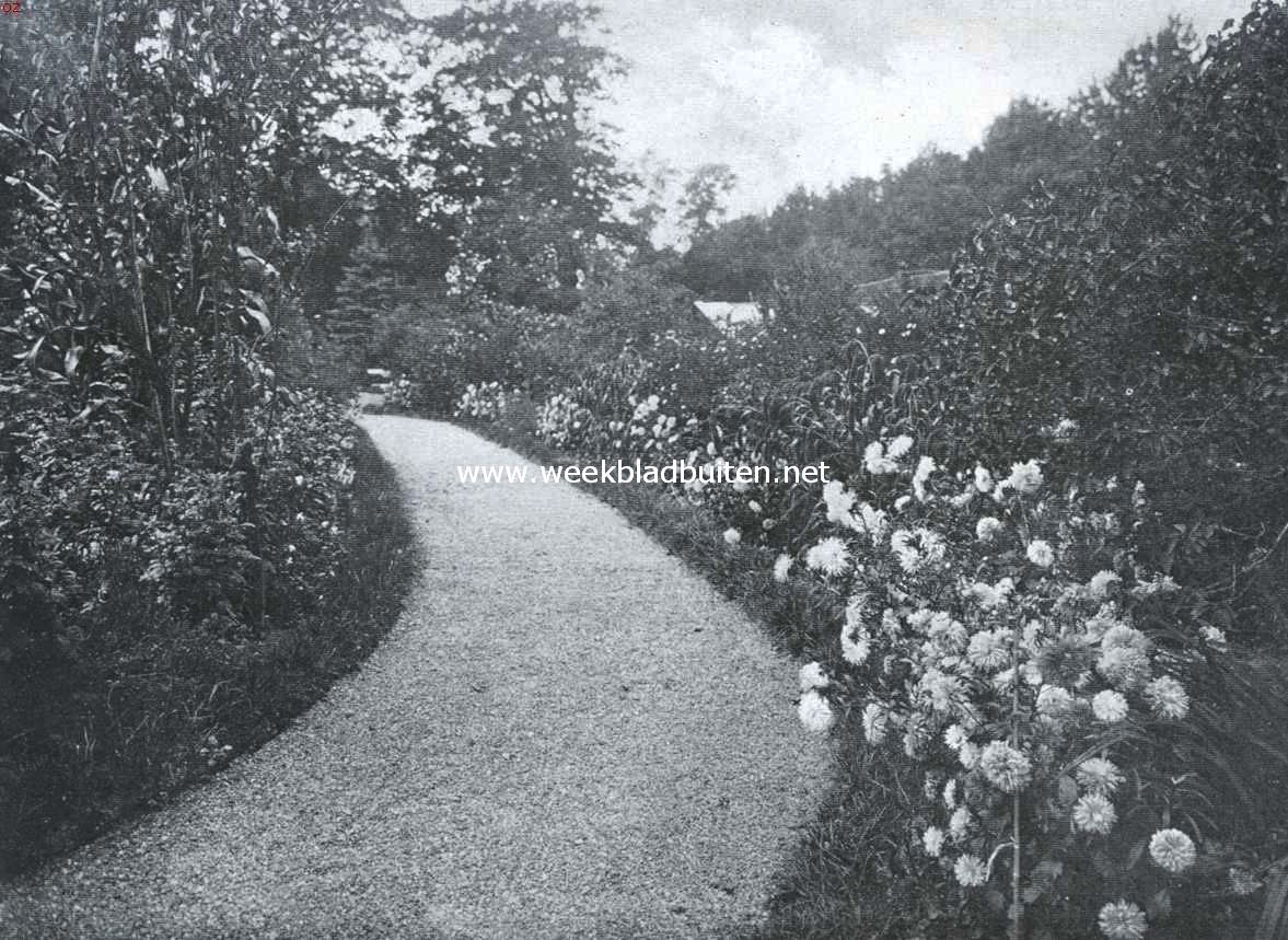 De border, haar aanleg en beplanting. Een weelderige border