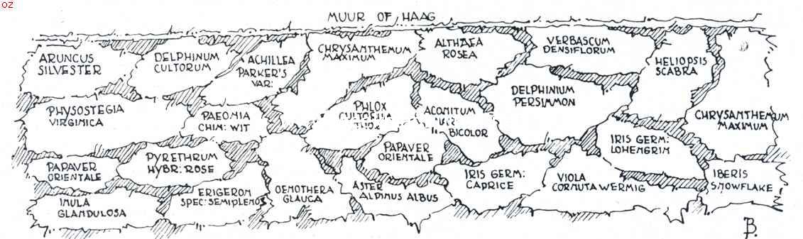 De border, haar aanleg en beplanting. Schema van een zomerborder
