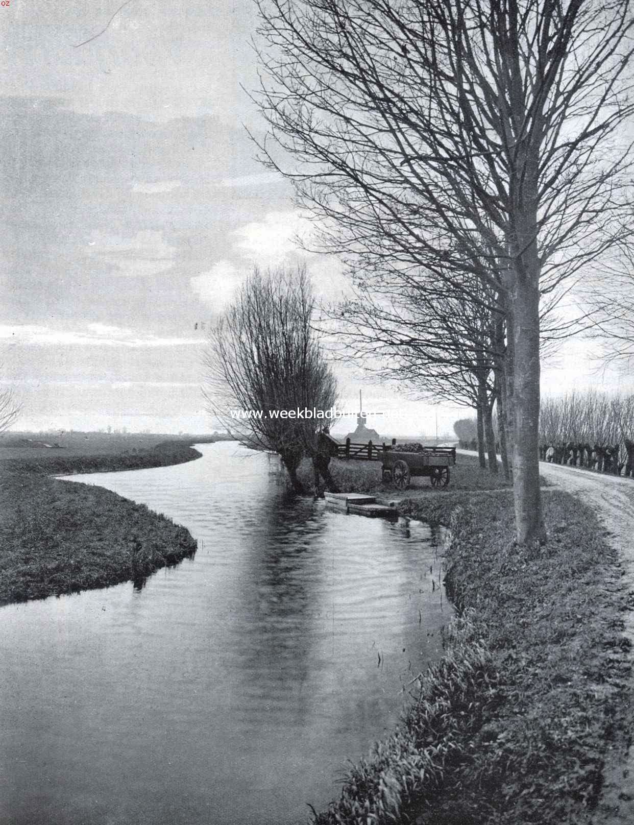 Het vroege voorjaar in de buurt van Abcoude