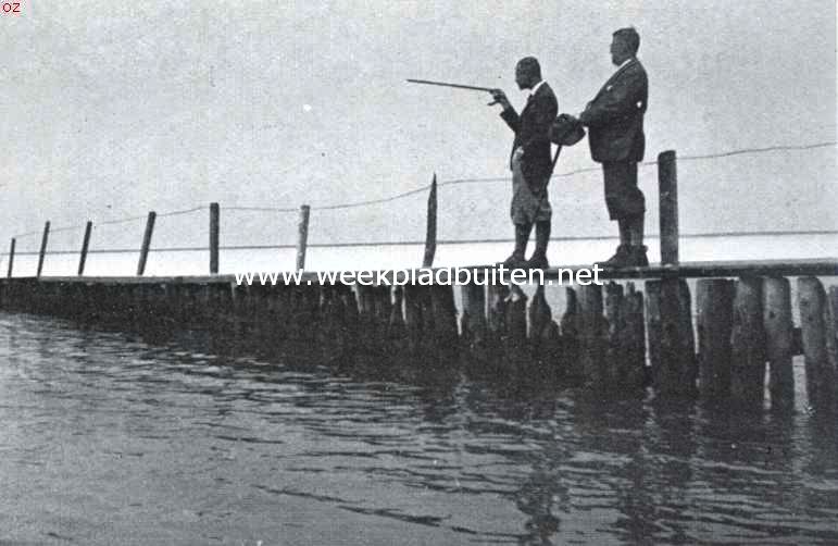 Naar Nederlands laatste grenspaal aan de Wielingen. De brug over het Zwin, toen er nog geen leuning aan was