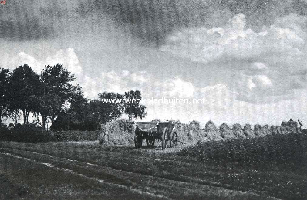 Mooi Drenthe. Graanoogst op de Drentsche landen