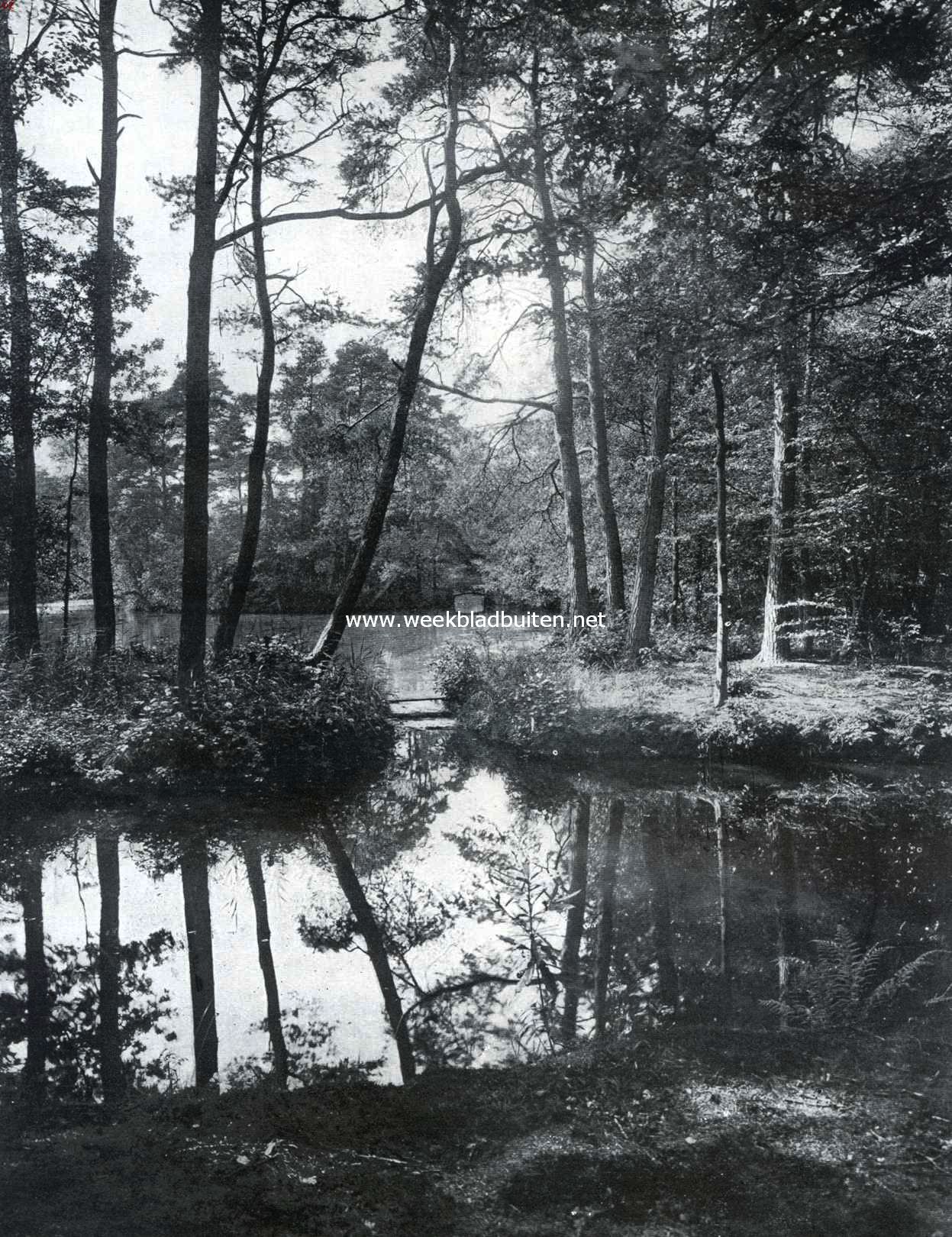 Boschvijver