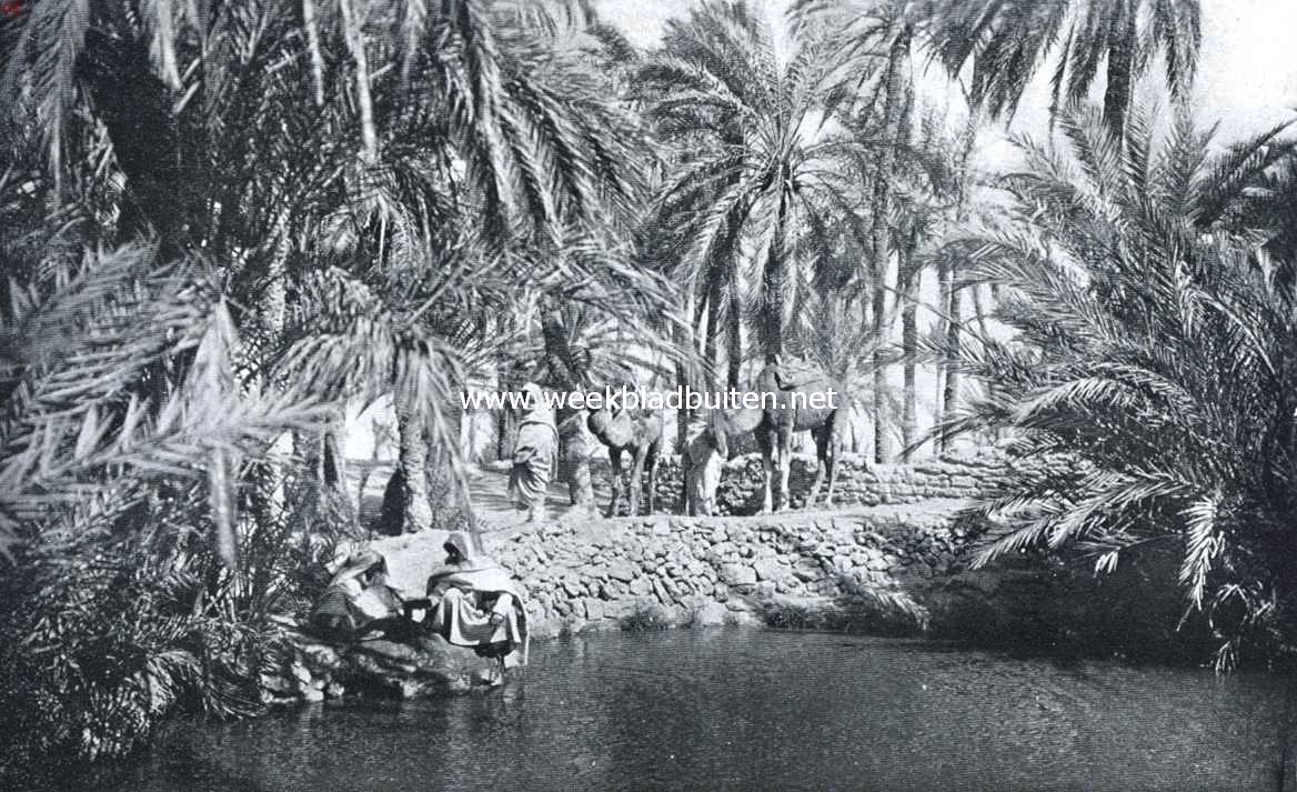 Reizen in Tripoli. Het meertje van de bron in de lommerrijke oase Gadams