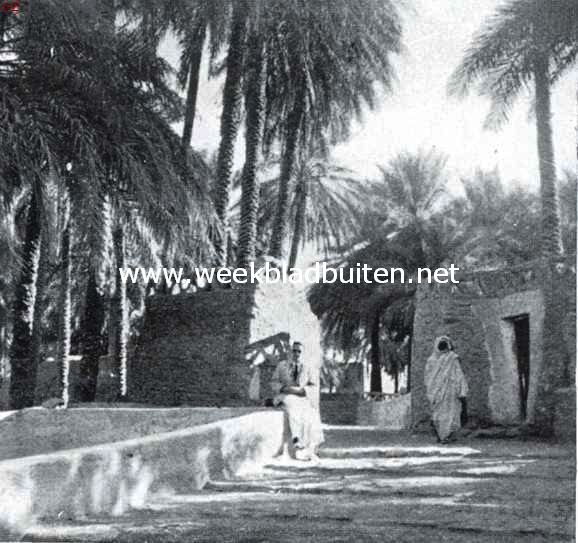 Reizen in Tripoli. In de oase van Gadams