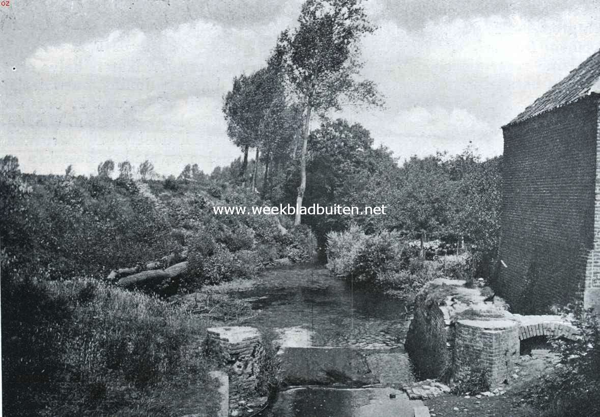 Watermolen aan een niet gekanaliseerde Limburgsche beek