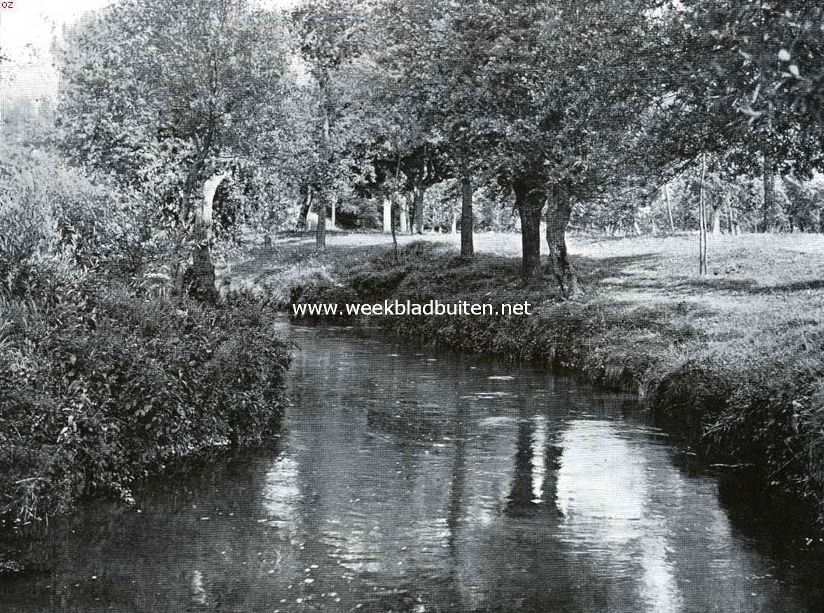 Zuid-Limburgsche planten. De Geul bij Valkenburg