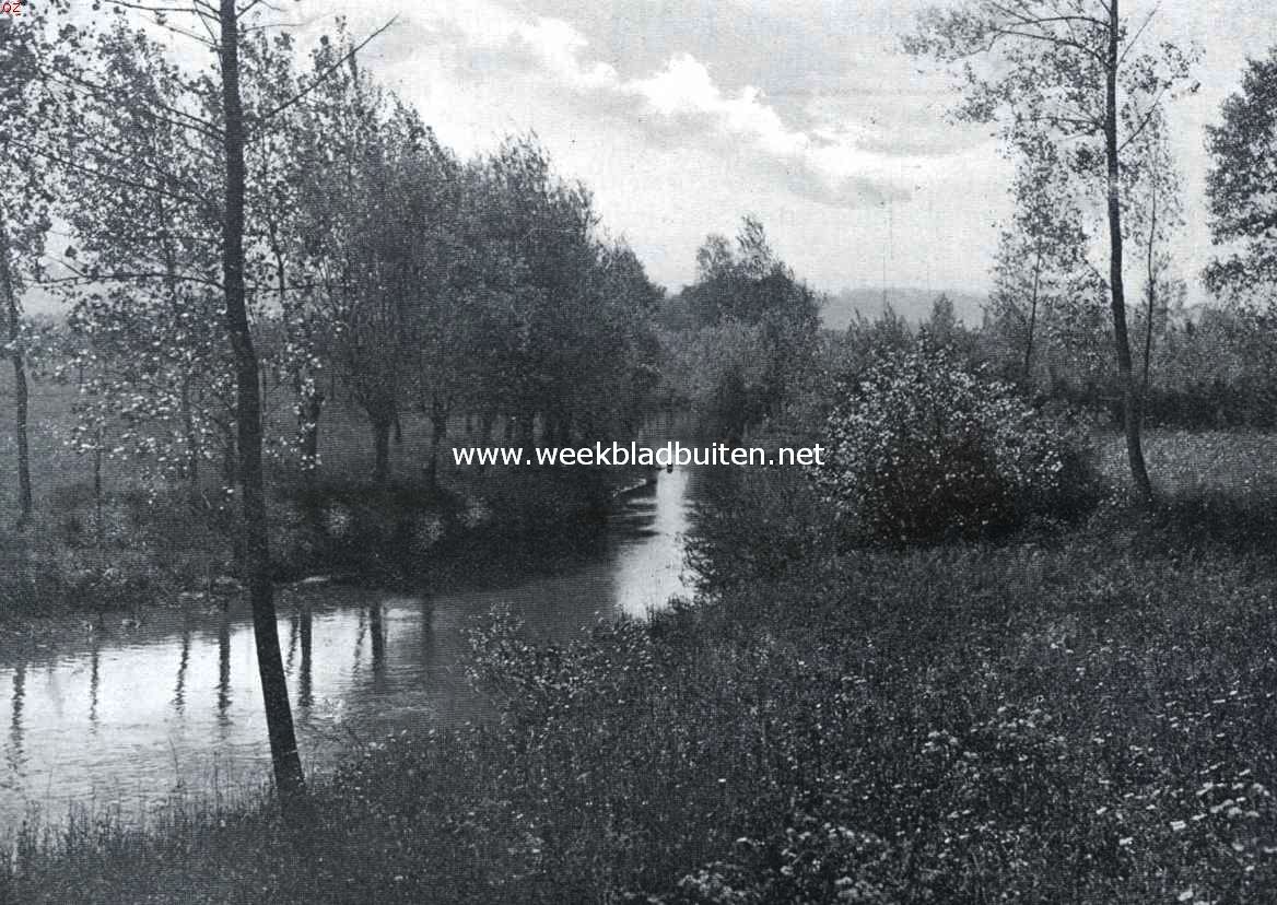 Zuid-Limburgsche planten. Landschap met weiden bij de Geul