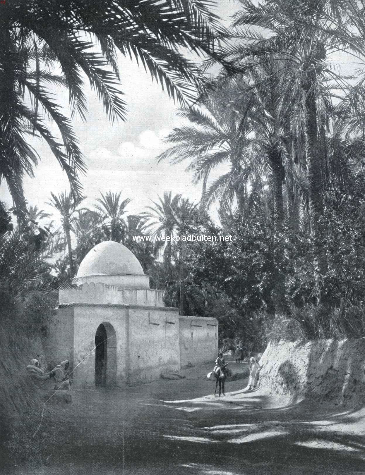 In de oase van Gabs aan de Kleine Syrthe in Tunis