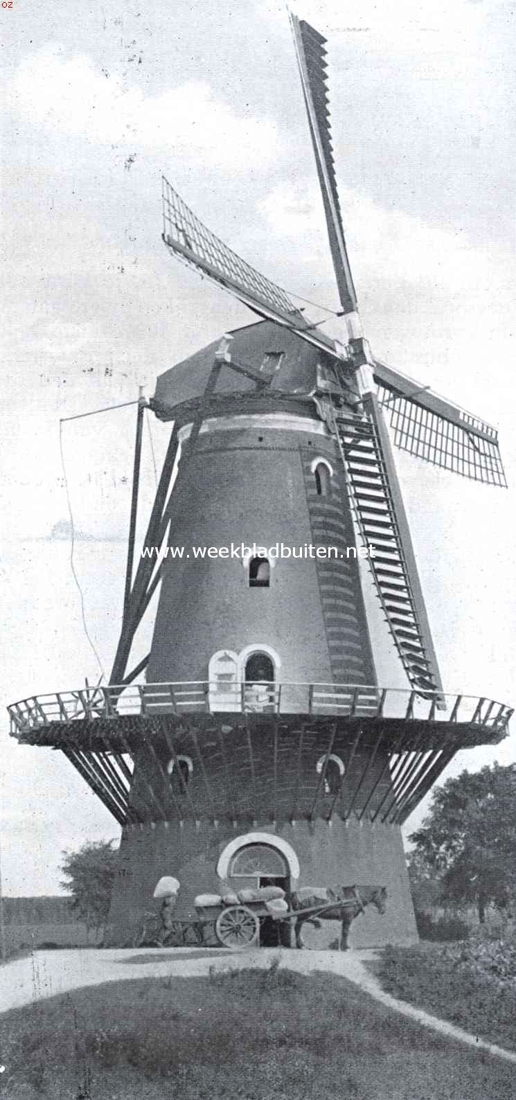 De Bevelanden. Molen 