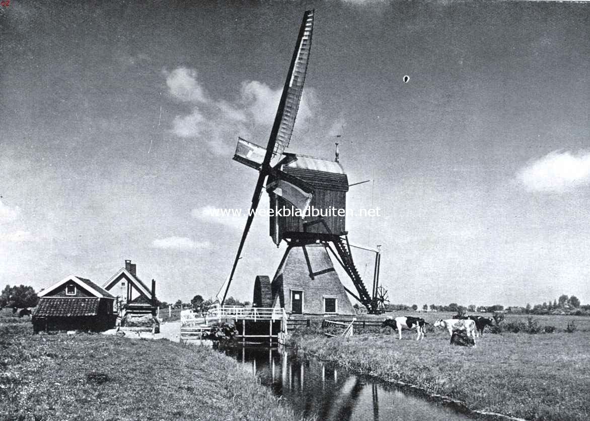 Hollandsch polderschoon bij Zwammerdam