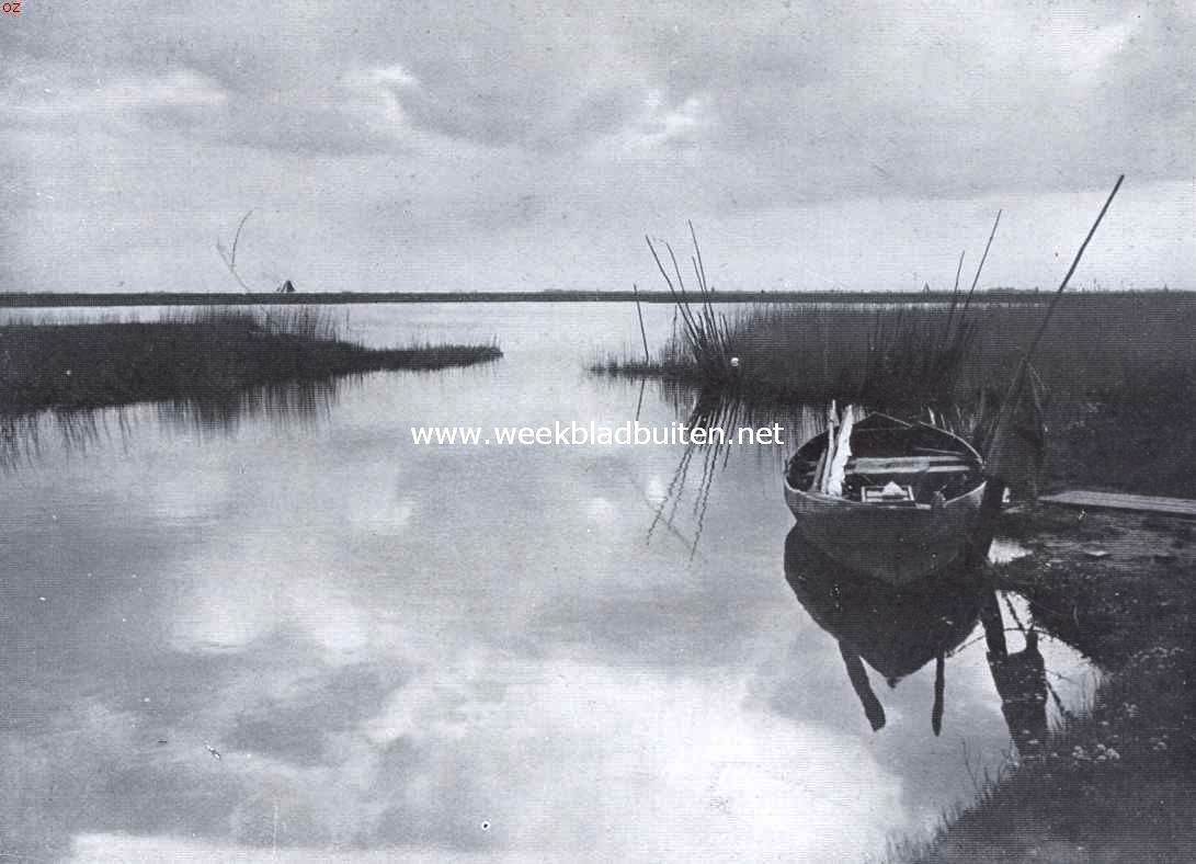 In den Ijdoornpolder bij Durgerdam