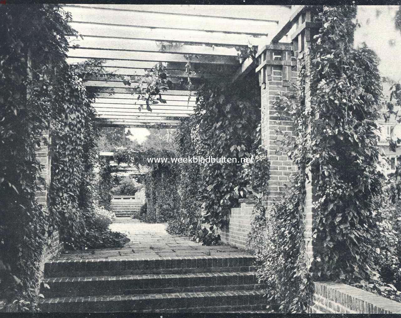 Pergola op 