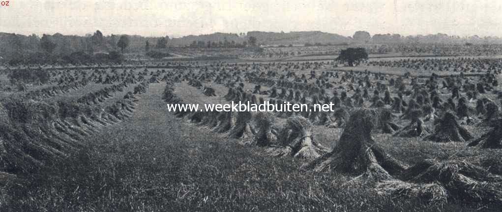 Het Noordtwentsche heuvelland. De golvende esch