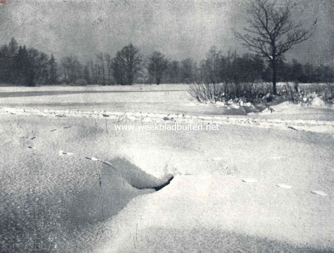 Sporen in de sneeuw. De wezel heeft een onderzoek bij den duiker ingesteld