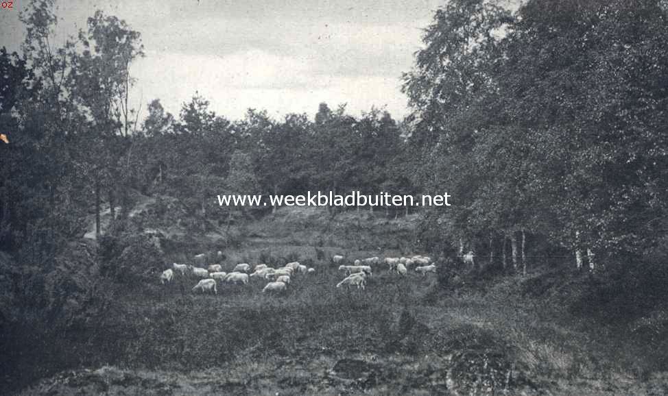 Het Noordtwentsche heuvelland. De Sprengen bij Ootmarsum