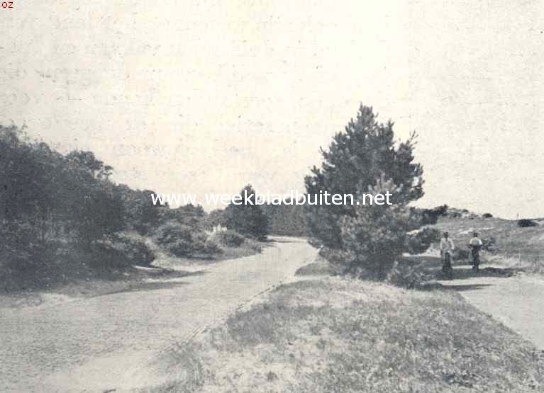 Weg door het duin, die vooral als ontspanningsweg beteekenis heeft. De beplanting is aan deze behoefte aangepast