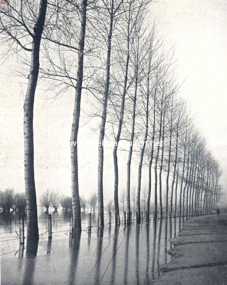 Het water, een vriend en een vijand. Tegen een stootje kunnen zij wel