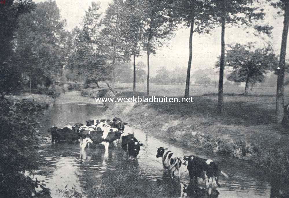 Voorjaar in Limburg. De Geul bij Valkenburg