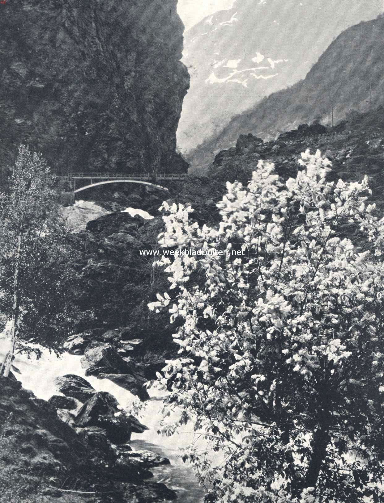 Voorjaar in het Flaamsdal in Noorwegen