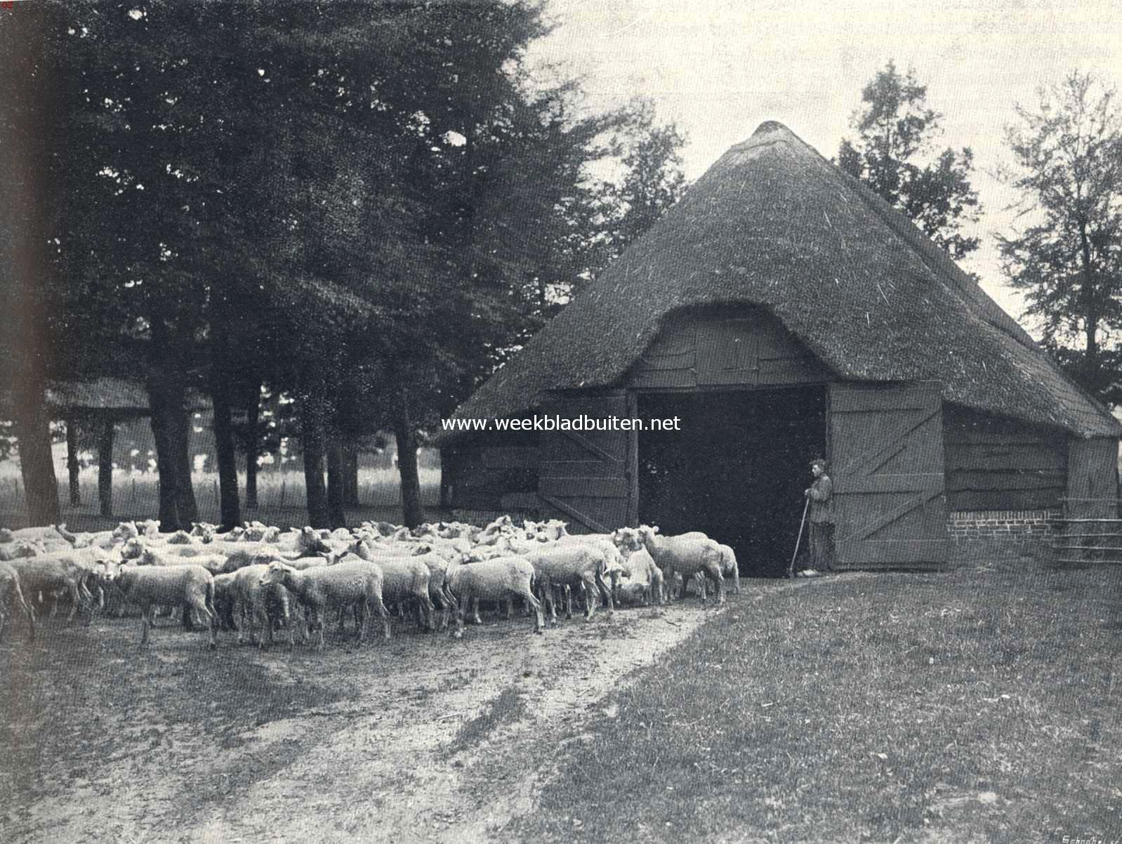 Zwervend rond het oude Elspeet. Oude schaapskooi van de Noordelijke Veluwe