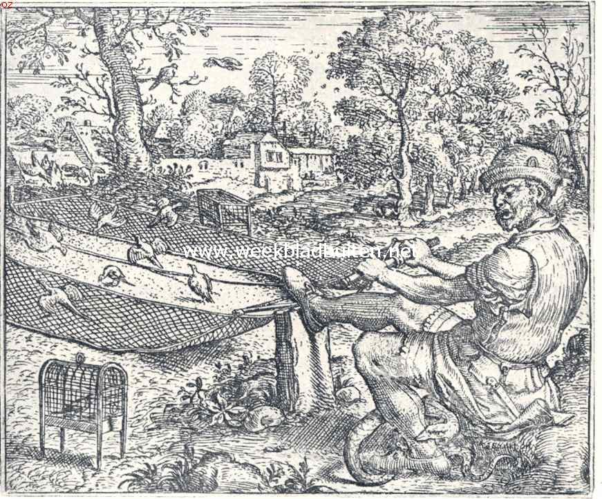 De oude vinkebanen. 