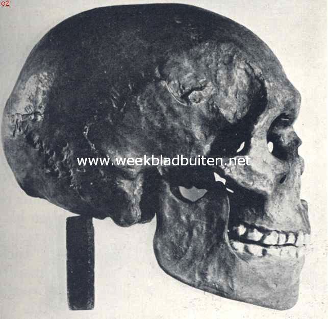 Schedel van Aurignac, die volgens vele onderzoekers afkomstig is van een Cromagnon-mensch