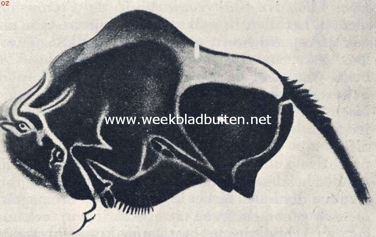 De praehistorie van den mensch. Een bekende polychrome teekening (kalvende bison)  uit het Cromagnon-tijdperk