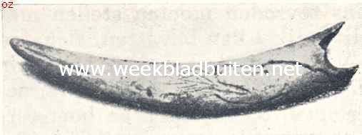 De praehistorie van den mensch. Graveeringen van Cromagnons op beenen voorwerpen (naar Obermaier) 1