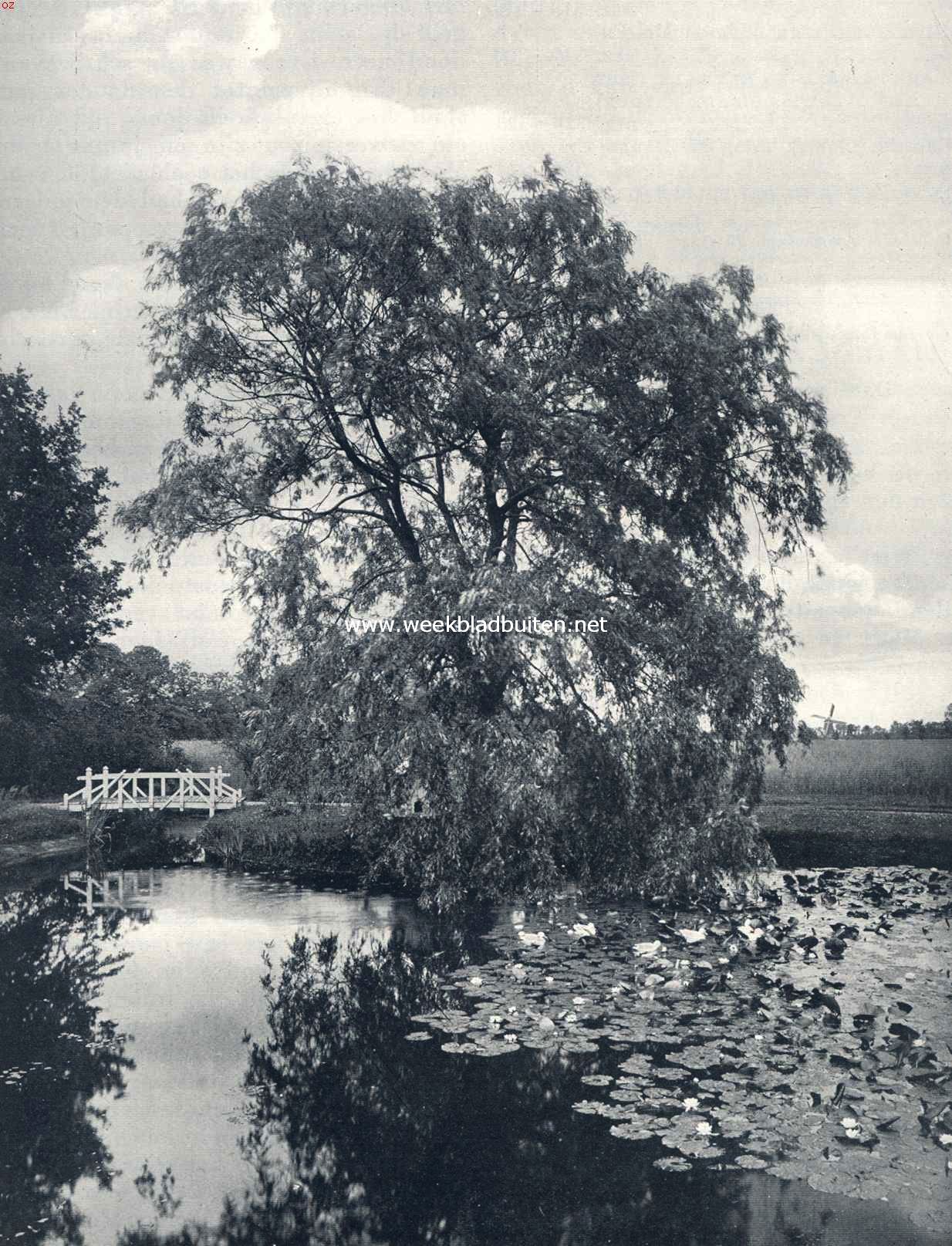 Midzomer