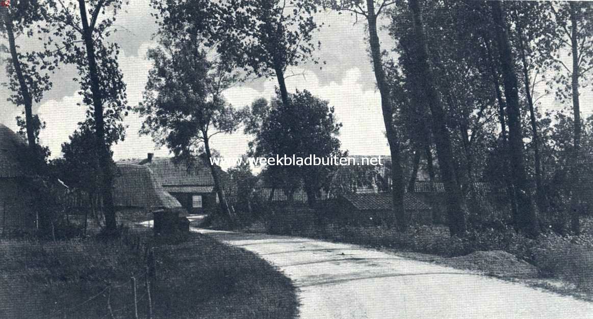 Brabantsch boerenleven. In het land der kleine boeren, Leensel (onder Asten N.-B.)