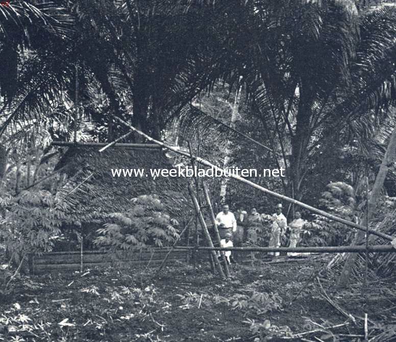 De bamboeleidingen, waardoor de sagoweredampen gecondenseerd en naar de hut teruggeleid worden