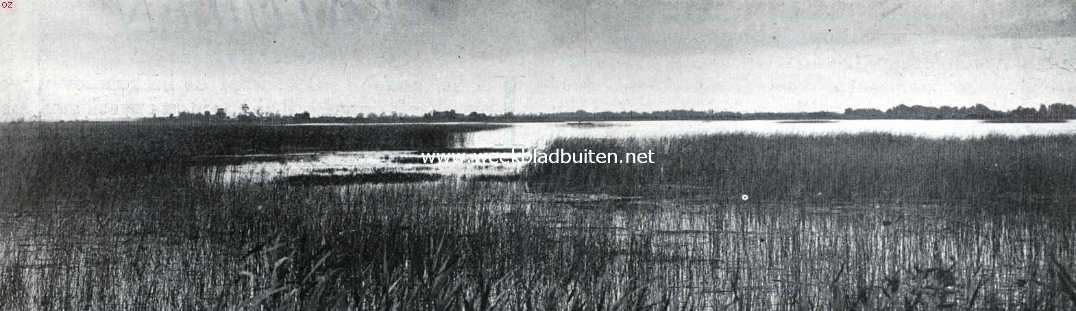 In Overijsels Noordwest-Hoek. Aan het Bovenwijde. In de verte een punter op weg naar Giethoorn